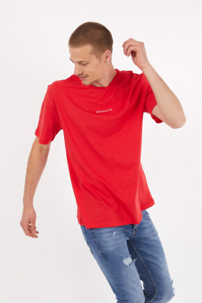 Twenty3 Erkek Basic Oversize Brooklyn Baskılı Kısa Kol T-Shirt